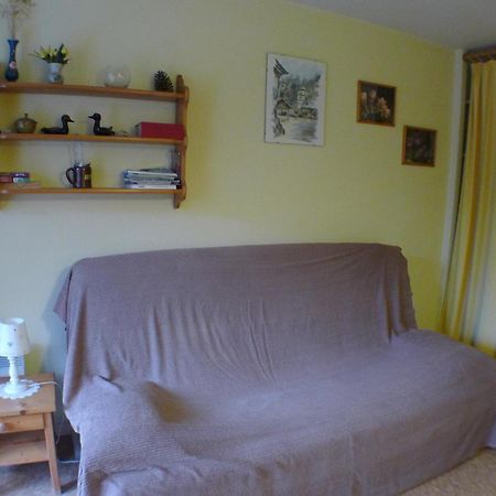 Studio Cosy Au Centre De Samoens Avec Parking Privatif - Fr-1-629-118 Eksteriør billede